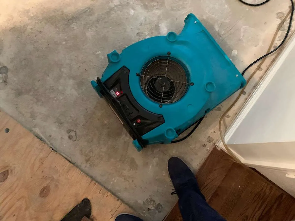 Air mover drying subfloor during Commercial Water Damage Restoration in Abington